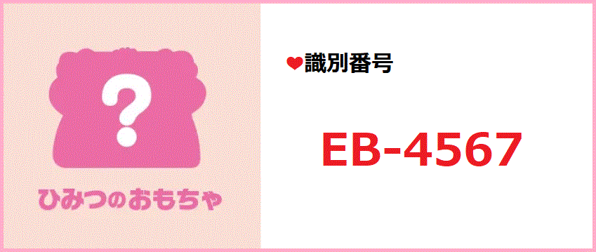 識別番号：EB-4567