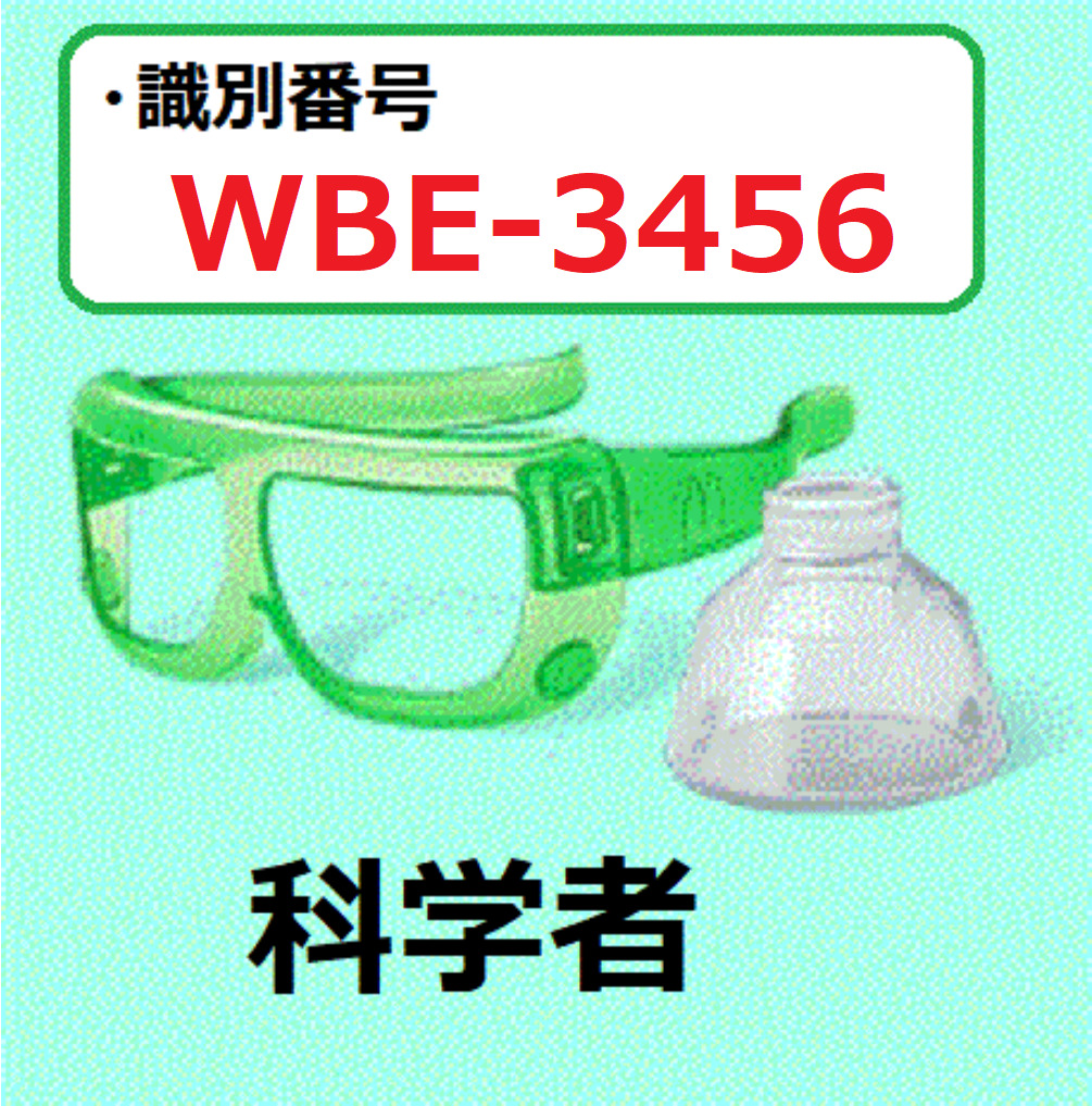 識別番号：WBE-3456